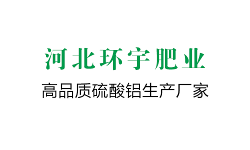 天然氣旋進旋渦流量計